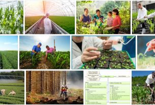 Study Agricultural And Forest Sciences
