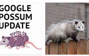 What is the Google Possum Update